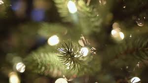 christmas-tree